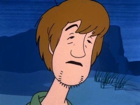 Hanna Barberas Shaggy Of Scooby Doo Where Are You Retro Cartoons