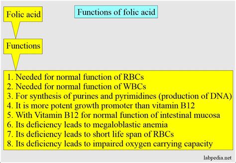 Folic Acid And Folate