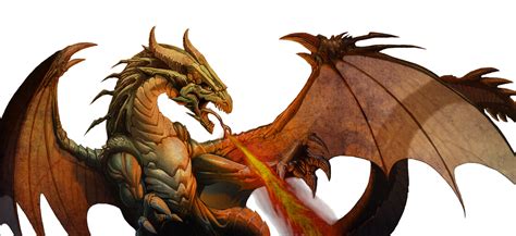 Dragon PNG by Meridiann on DeviantArt