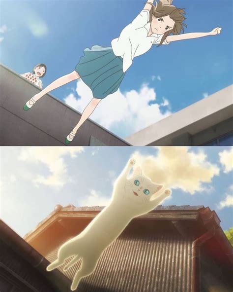 A Love Story About A Girl Who Could Turn Into A Cat Anime Movies