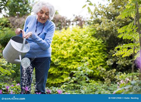 Senior Woman Watering Flowers In Garden Stock Photo Image Of Seniors