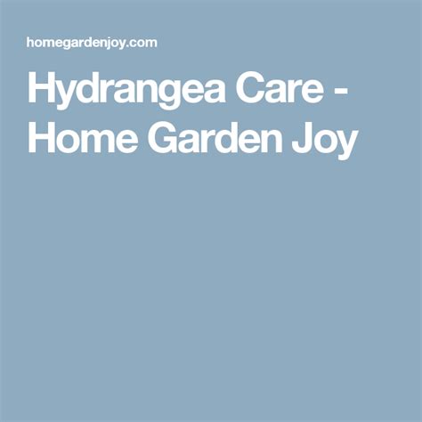 Hydrangea Care Hydrangea Tree Hydrangea Care Texas Gardening