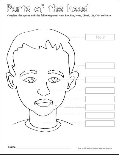Human Head Coloring Page