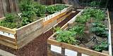 Images of Raised Garden Beds Made Out Of Pallets