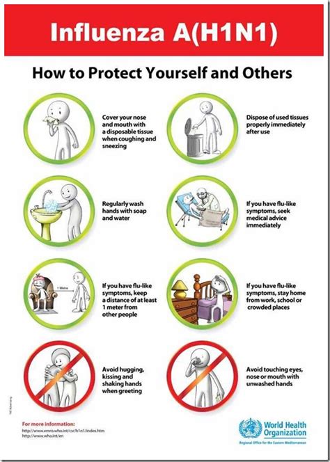 How To Protect Yourself And Others From Influenza Ah1n1 Or Swine Flu