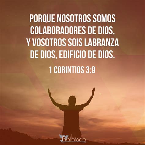 1 Corintios 39 Rv1960 Porque Nosotros Somos Colaboradores De Dios Y