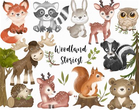 Woodland Nursery Animals Clipart Woodland Animals Boho Clipart Images
