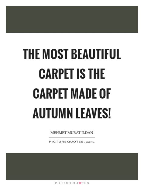 Carpet Quotes Carpet Sayings Carpet Picture Quotes