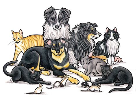 Fourteen Pet Commission By Wildspiritwolf On Deviantart