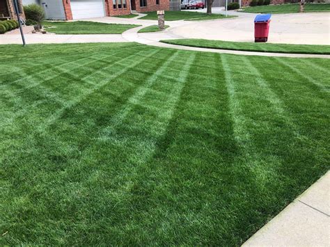 Put Your Best Face Forward: Revamping Your Front Yard to Boost Curb Appeal