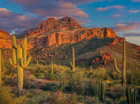 Tucson Az Places To Travel In The Us In Your 20s Popsugar Smart