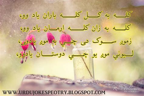 Pashto Poems Pashto Songs Youtube G4g5