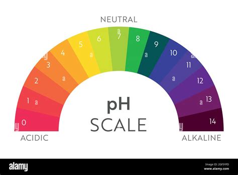 PH Value Scale Chart Acid Base Balance Infographic Education Poster