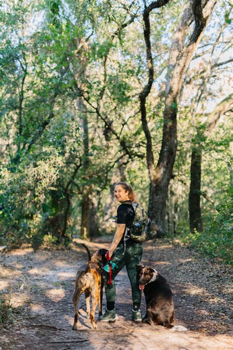 How To Prepare For A Dog Friendly Hike In Florida