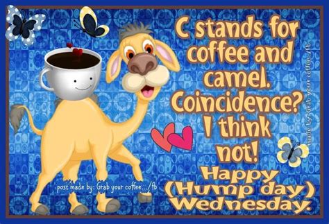 Wednesday Motivation Discover Happy Hump Day Wednesday Happy Hump Day