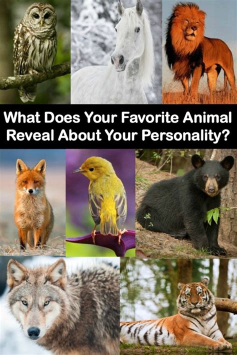 What Does Your Favorite Animal Reveal About Your Personality