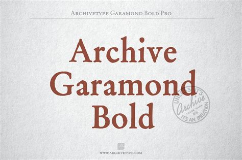 Archive Garamond Bold Pro Serif Fonts Creative Market