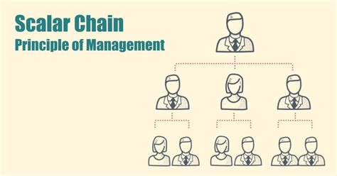 Scalar Chain Principle Of Management Shiksha Online