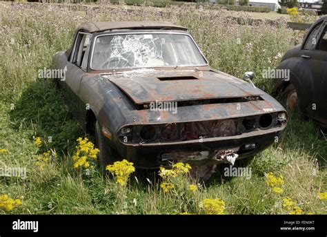 Abandoned Classic Cars Rotting In A Field Triumph Stag And Stock Photo