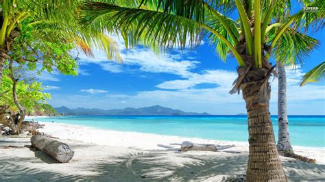 We would like to show you a description here but the site won't allow us. playa, Tropical, Palmeras Wallpapers HD / Desktop and ...