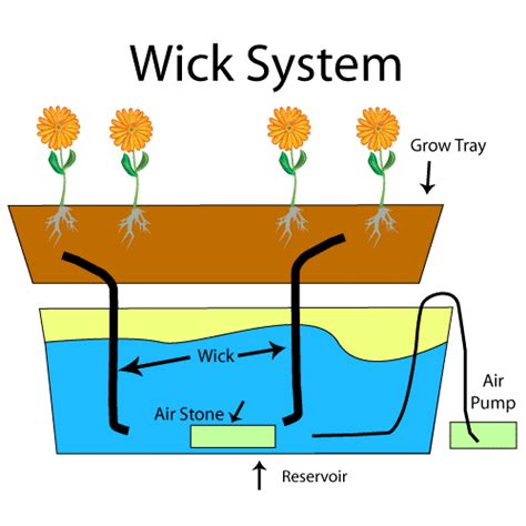 Low Technology Hydroponics Wick System For Beginners 2018