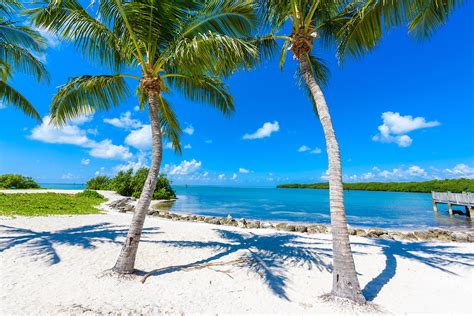 Our Guide To The Best Florida Keys Beaches Tranquility Bay Beach Resort