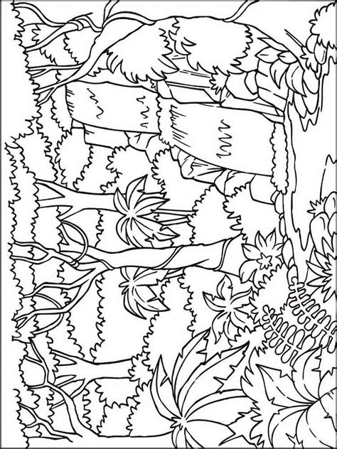 The animals listed here are also suitable for specific topics such as: Forest coloring pages. Download and print forest coloring ...