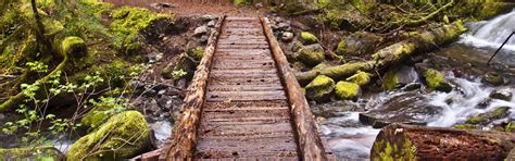 Hiking Trails Near Me Finding The Best Local Hikes Backroads