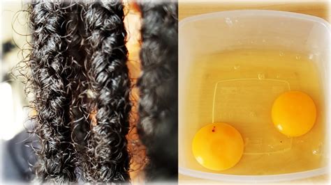 Top 84 Egg Helps In Hair Growth Super Hot Ineteachers
