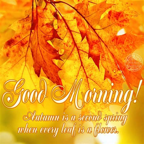 Good Morning Fall Images Popularquotesimg