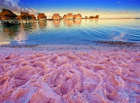 8 Amazing Places To Find Pink Sand Beaches Her Beauty