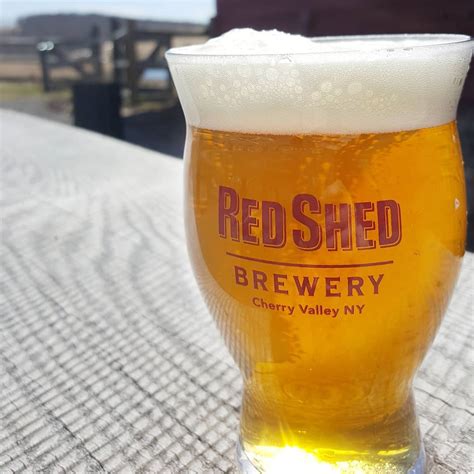 Introduction To The Golden Ale Red Shed Brewing