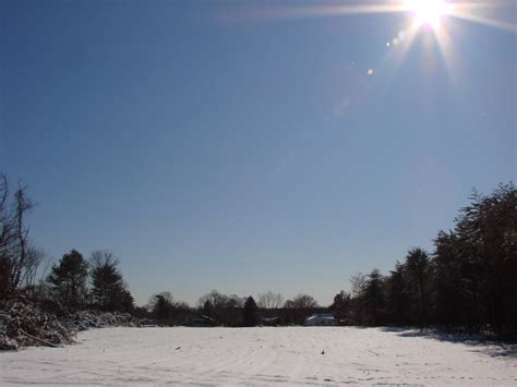 Vineland Nj Fresh Snowfall February 2009 Photo Picture Image New