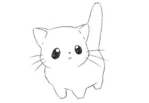 Gambar Anime Kucing Lucu