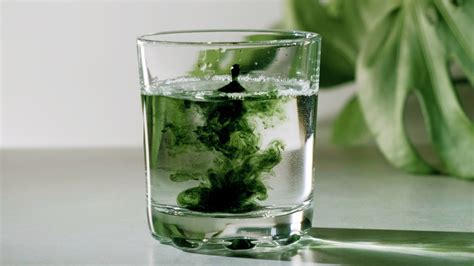 What Drinking Chlorophyll Water Does For Your Body