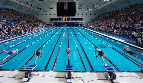 Foreigner Swimming Competition The Beijinger