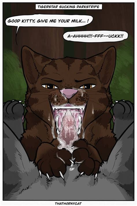Rule 34 Blowing Bodily Fluids Cum Cum In Mouth Cum Inside Darkstripe Warriors Domestic Cat