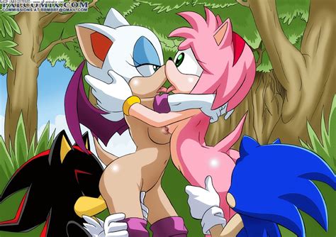 Amy Rose Palcomix Rouge The Bat Shadow The Hedgehog Sonic Team