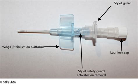 What Is A Cannula Slideshare