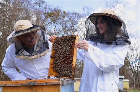Two Beekeepers In Apiary Stock Images Image 30524904