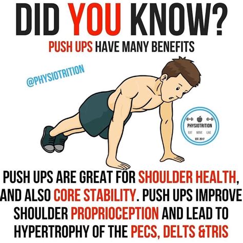 Push Ups Push Ups Are Often Seen As A Movement Solely For Beginners