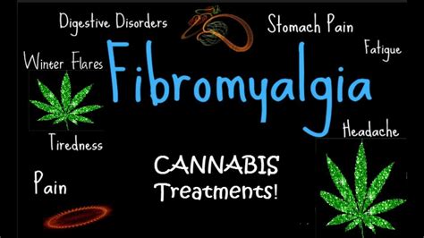 Cannabis Treatments For Fibromyalgia Patients Takes Off Youtube