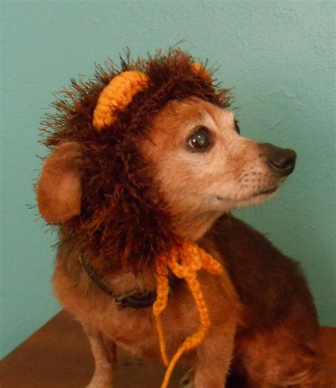 Crocheted Lion Hat For Cat Or Dog Lion Mane Hat For Pet