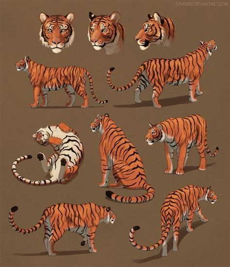 Tigers Doing Stuff And Just Hanging Out By Chiakiro Devianta On