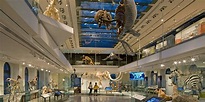 Natural History Museum of Los Angeles | Downtown LA