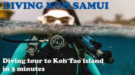 Diving Koh Samui Diving Tour To Koh Tao Island For Beginners And Certify Divers In 3 Minutes