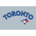 Toronto Blue Jays Logos iron on stickers at irononsticker.net | Toronto blue jays logo, Toronto ...