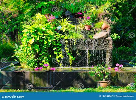 Fontaine De Nature Dimagination Avec Le Nnuphar Image Stock Image