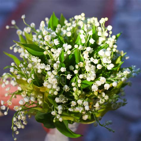 neda decorations bridal bouquet lily of the valley