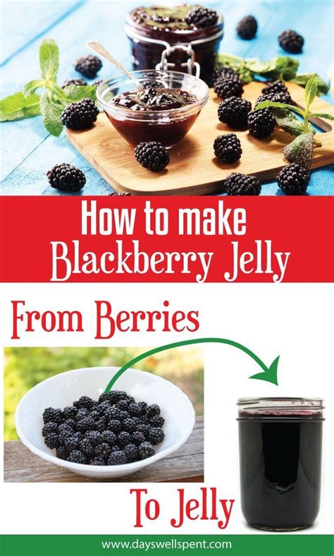 .blackberry jelly seedless blackberry jelly recipe 3 1/2 cups blackberry juice (approximately 3 pints of berries)2 sbcanning.com. How to Make and Can Homemade Blackberry Jelly | Recipe ...